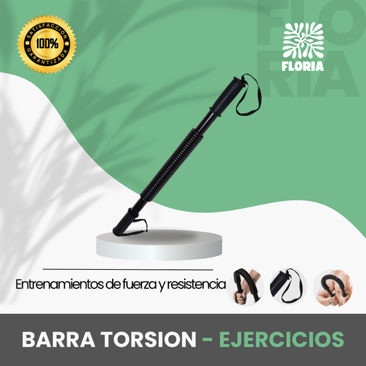 Barra Torsion 40/50/60 Kilos Ejercicios